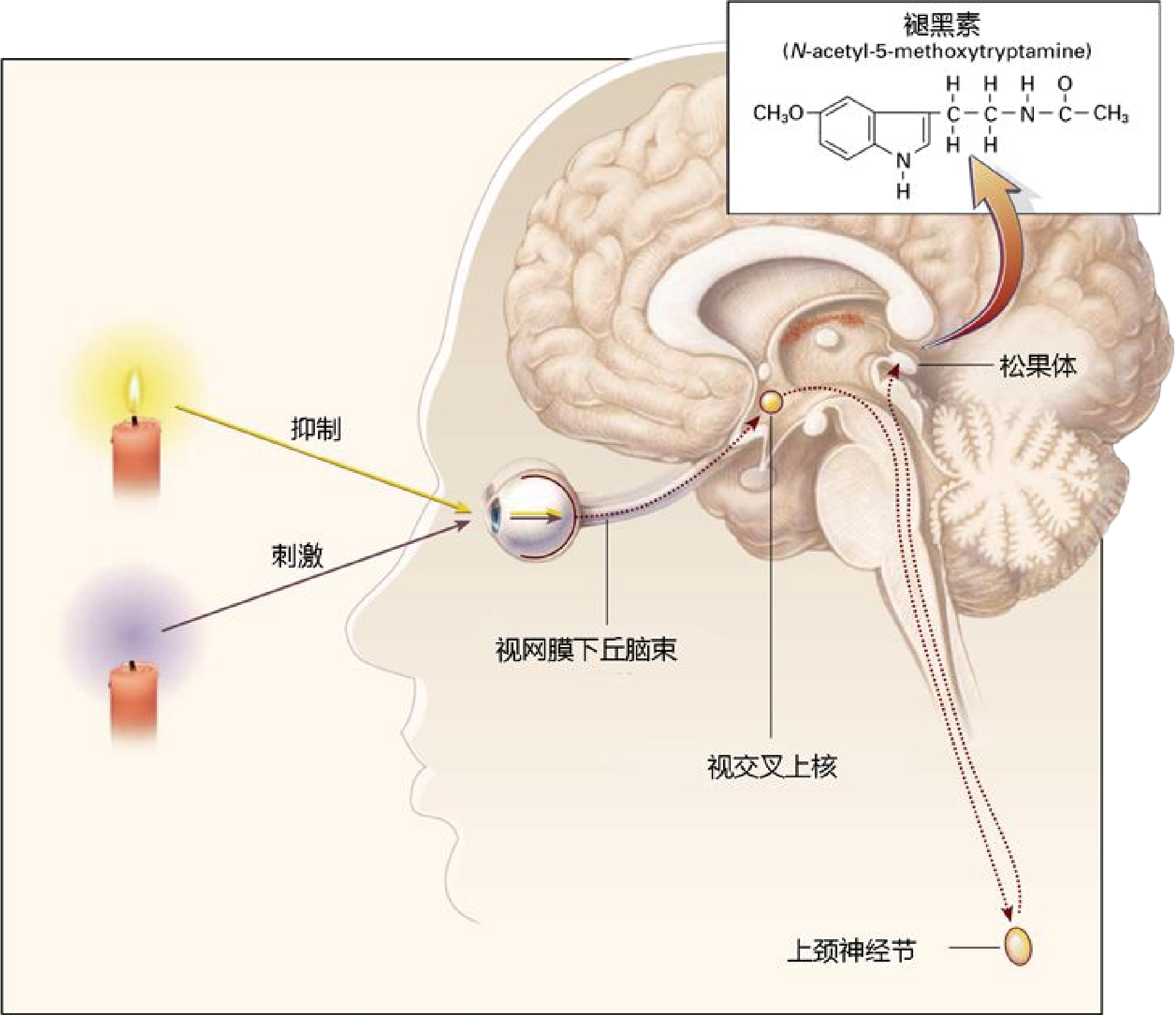 1692694677178418.png 4.png